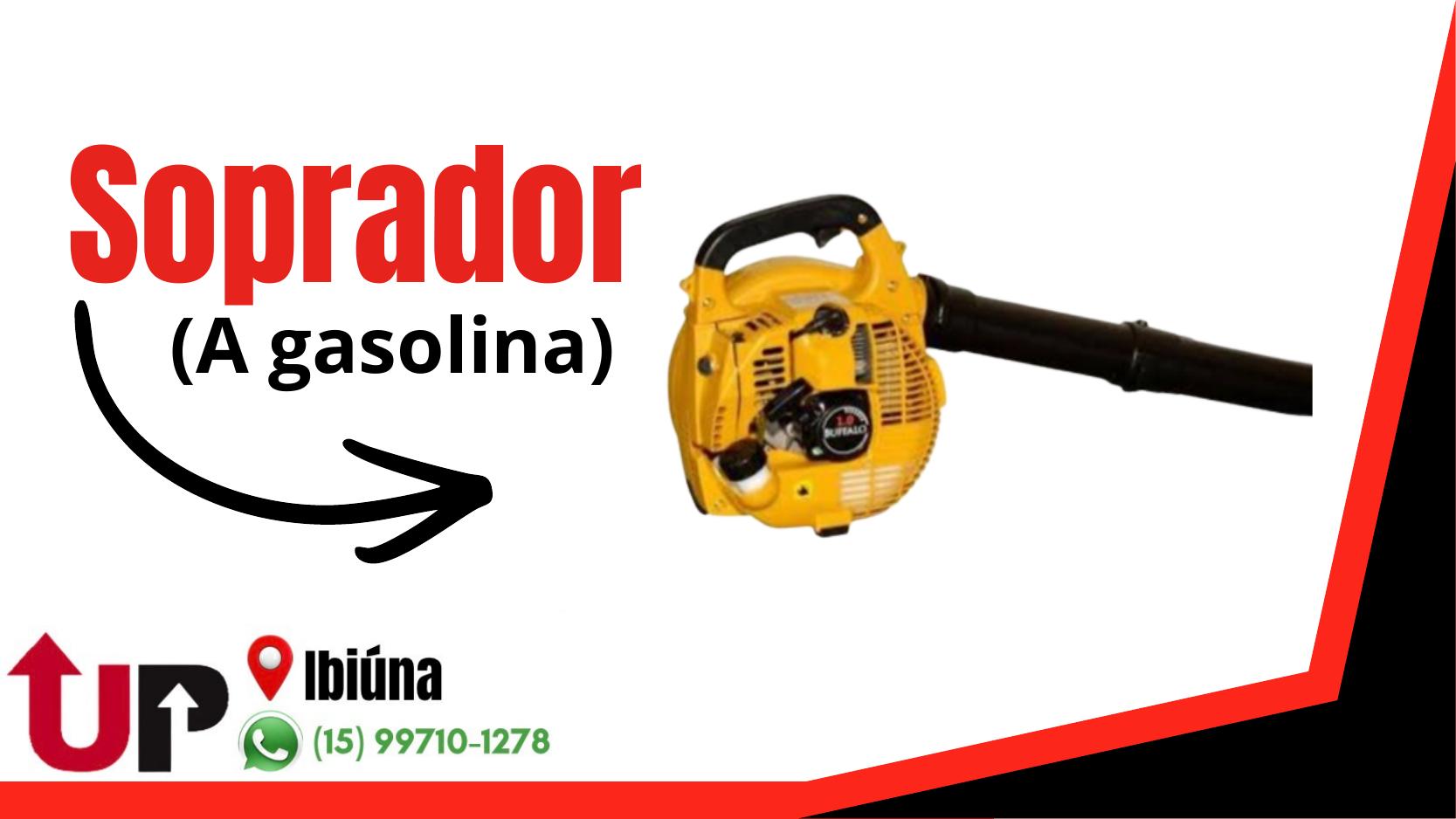 Soprador à Gasolina